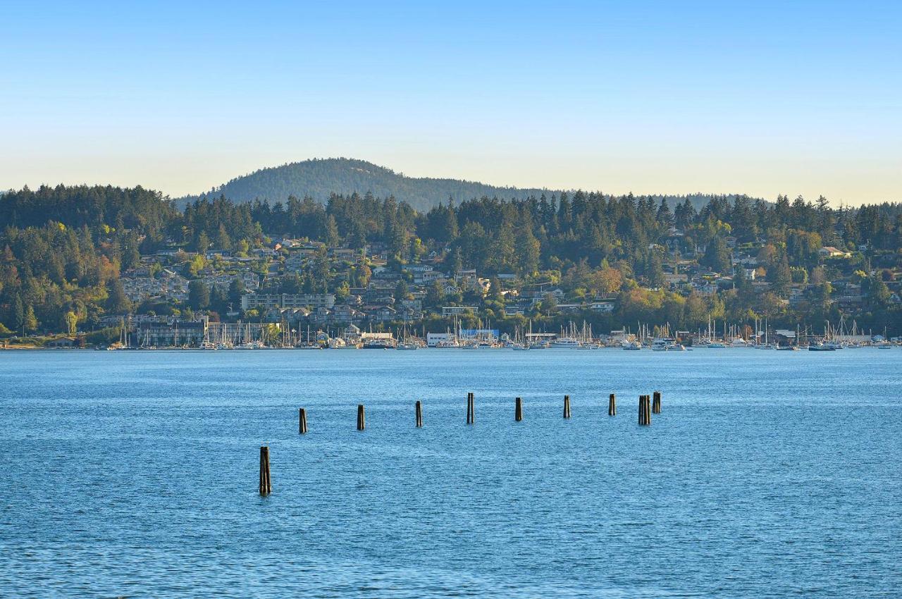 Salishan Tree House Suite Cowichan Bay Bagian luar foto
